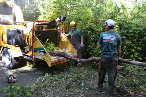 tree services Clarksville